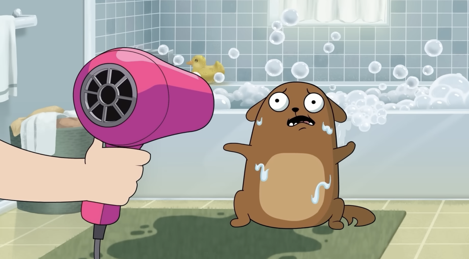 My Dog: The Paradox